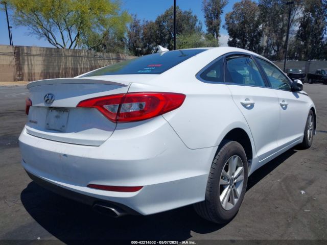 5NPE24AF6GH272205 Hyundai SONATA SE