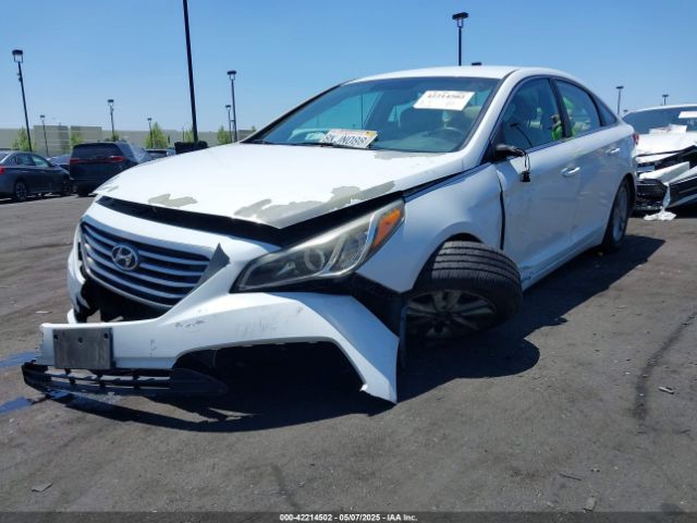 5NPE24AF6GH272205 Hyundai SONATA SE