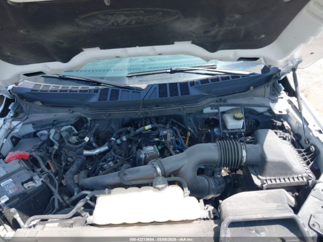 1FTEW3KPXRKD94379 Ford F-150 Xlt
