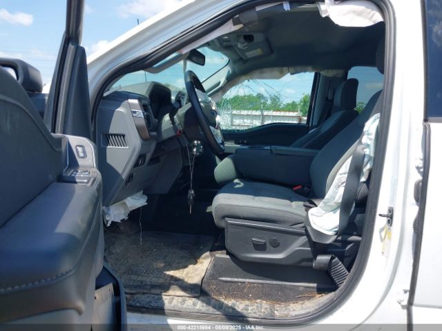 1FTEW3KPXRKD94379 Ford F-150 Xlt