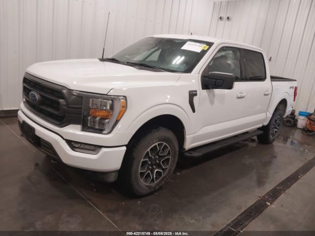 2023 FORD F-150 1FTFW1E85PFA54558 Photo 1