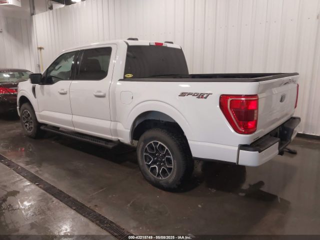 2023 FORD F-150 1FTFW1E85PFA54558 Photo 2