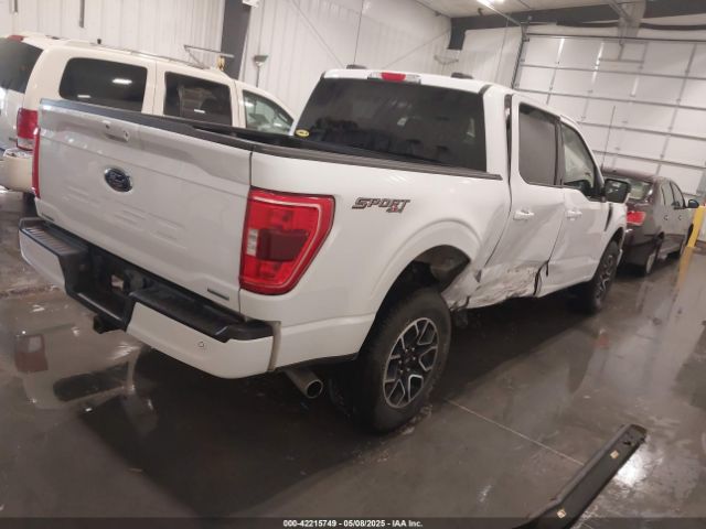 2023 FORD F-150 1FTFW1E85PFA54558 Photo 3