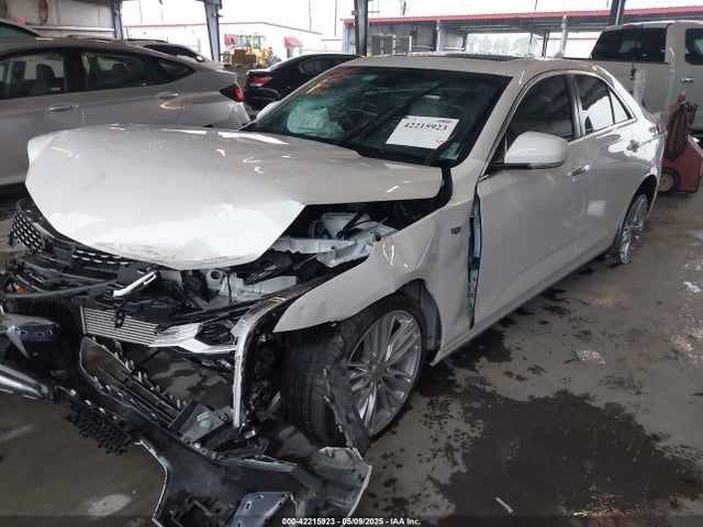 1G6DB5RK0P0105826 Cadillac lsy