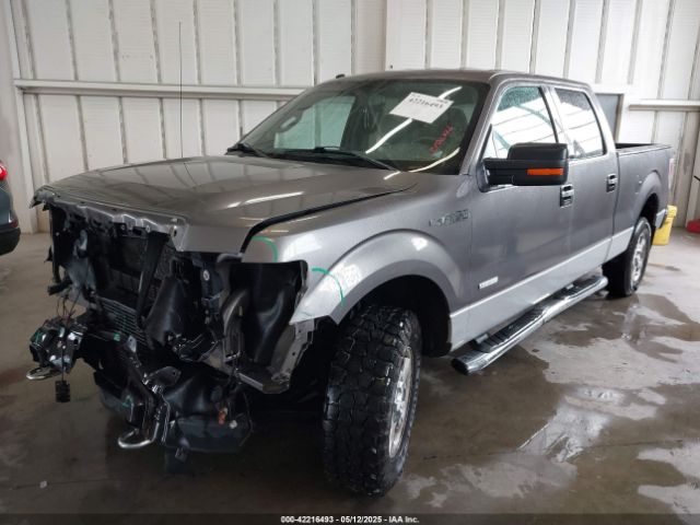 1FTFW1ET3EKF17502 Ford F-150 Xlt