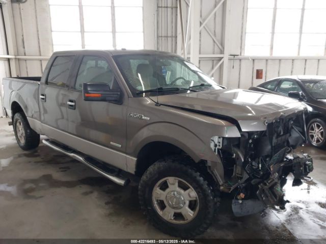 1FTFW1ET3EKF17502 Ford F-150 Xlt
