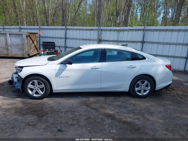 1G1ZC5ST0LF108521 Chevrolet Malibu Fwd 1fl