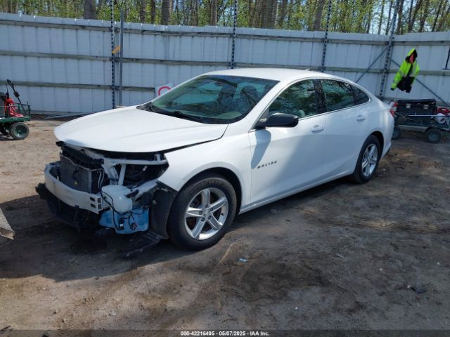 1G1ZC5ST0LF108521 Chevrolet Malibu Fwd 1fl