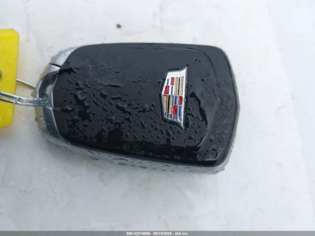 2020 CADILLAC XT4 1GYFZDR45LF049638 Photo 10