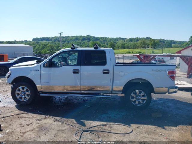 1FTFW1ET6EFC48016 Ford F-150 Xlt