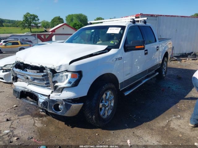 1FTFW1ET6EFC48016 Ford F-150 Xlt
