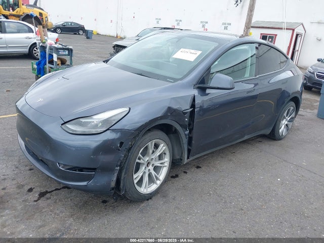 2023 TESLA MODEL Y 7SAYGDEE4PF806349 Photo 1