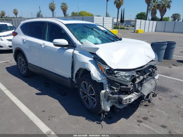 2020 HONDA CR-V 5J6RW2H56LA004709