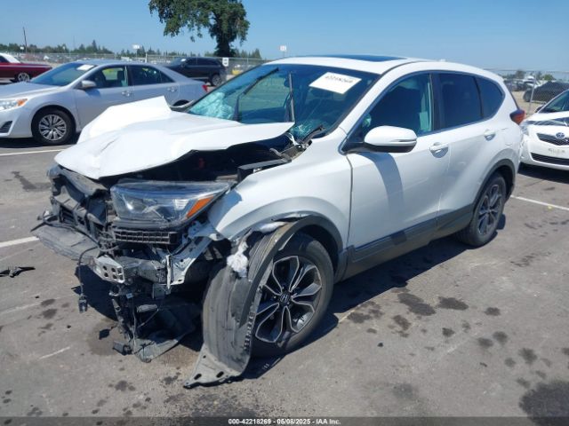 2020 HONDA CR-V 5J6RW2H56LA004709 Photo 1