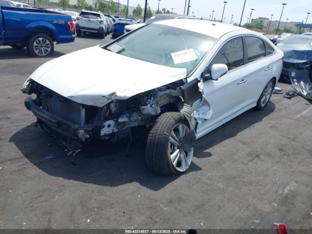 5NPE34AFXKH804254 Hyundai SONATA SEL