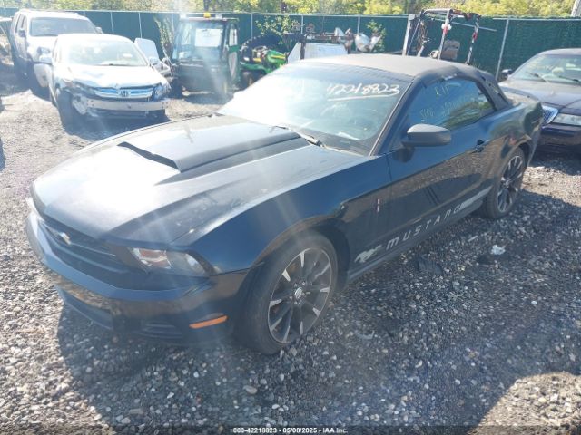 2010 FORD MUSTANG 1ZVBP8EN6A5175524 Photo 1