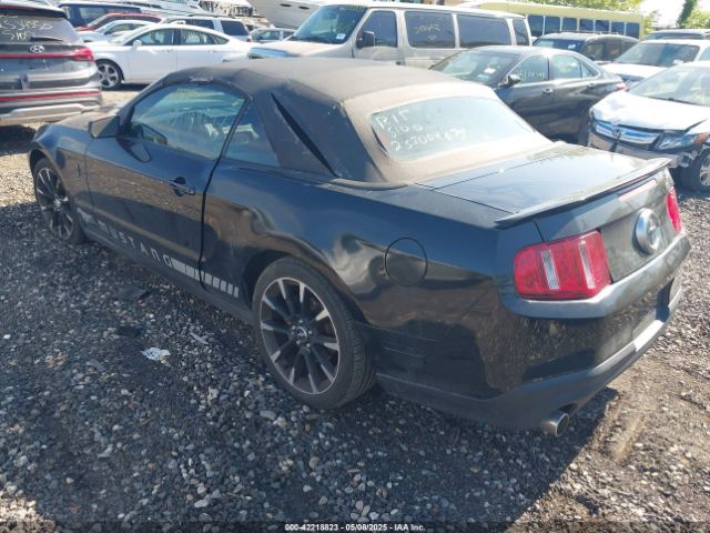 2010 FORD MUSTANG 1ZVBP8EN6A5175524 Photo 2