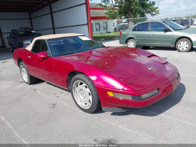 1991 CHEVROLET CORVETTE 1G1YY3382M5116414
