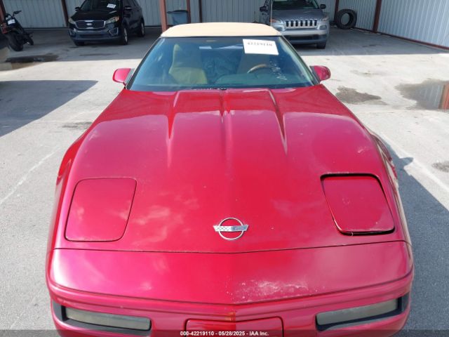 1991 CHEVROLET CORVETTE 1G1YY3382M5116414 Photo 9