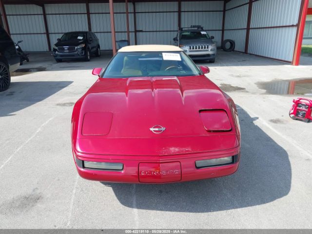 1991 CHEVROLET CORVETTE 1G1YY3382M5116414 Photo 5