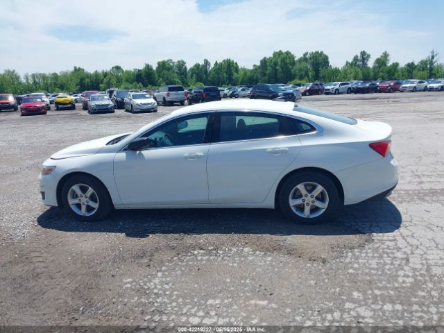 1G1ZC5ST4PF213729 Chevrolet Malibu Fwd 1fl