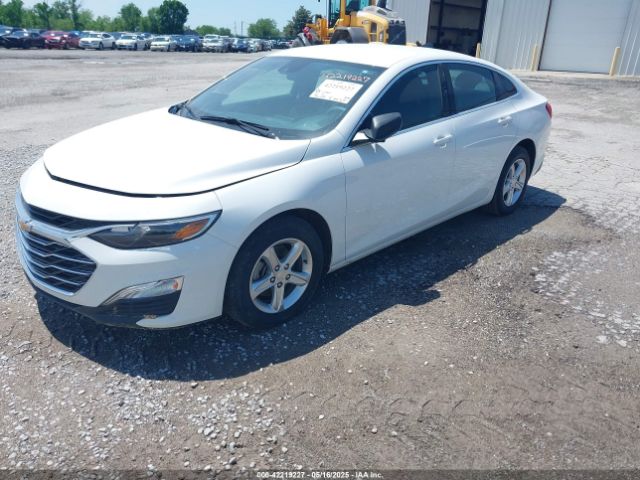 1G1ZC5ST4PF213729 Chevrolet Malibu Fwd 1fl