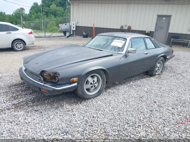 1984 JAGUAR XJS SAJNV5846EC112496 Photo 1