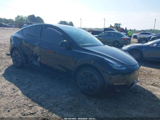 2023 TESLA MODEL Y 7SAYGDEEXPA027342