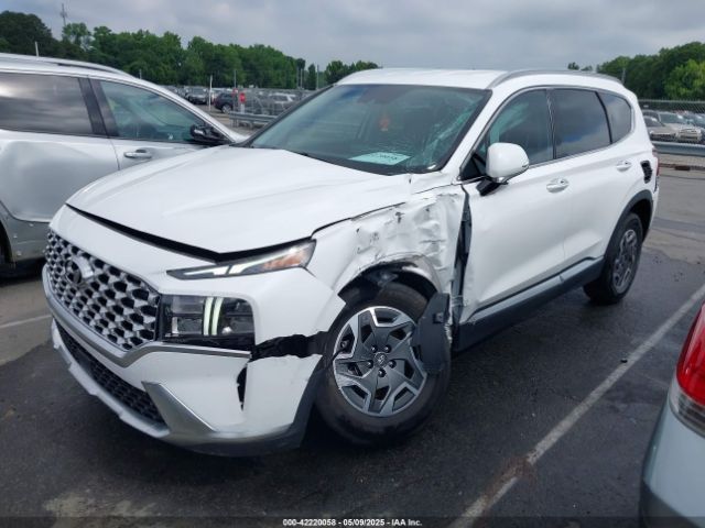 2022 HYUNDAI SANTA FE HYBRID KM8S2DA15NU026333 Photo 5