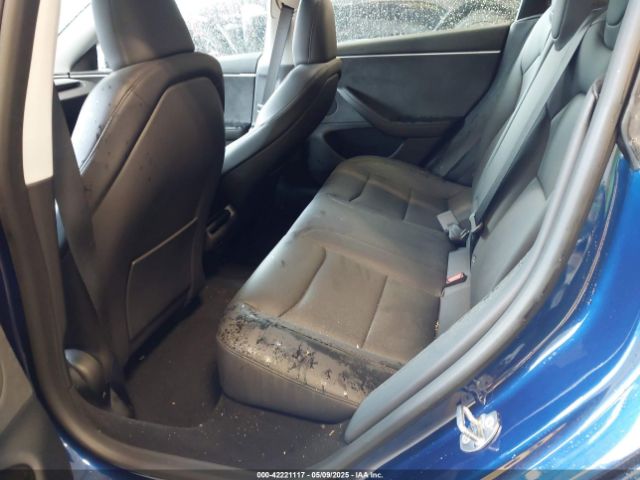 2025 TESLA MODEL 3 5YJ3E1EB4SF882440 Photo 7