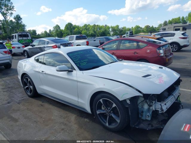 2020 FORD MUSTANG 1FA6P8TH4L5190405