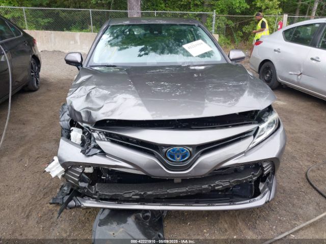4T1C31AK9LU521382 Toyota Camry Le Hybrid