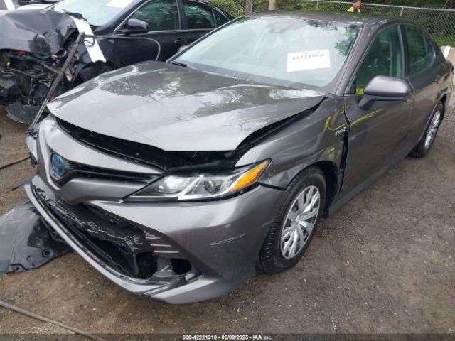 4T1C31AK9LU521382 Toyota Camry Le Hybrid