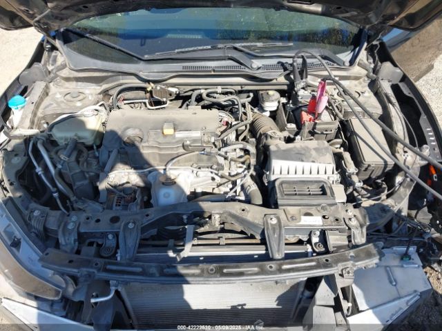 2HGFC2F63LH531428 Honda Civic Lx
