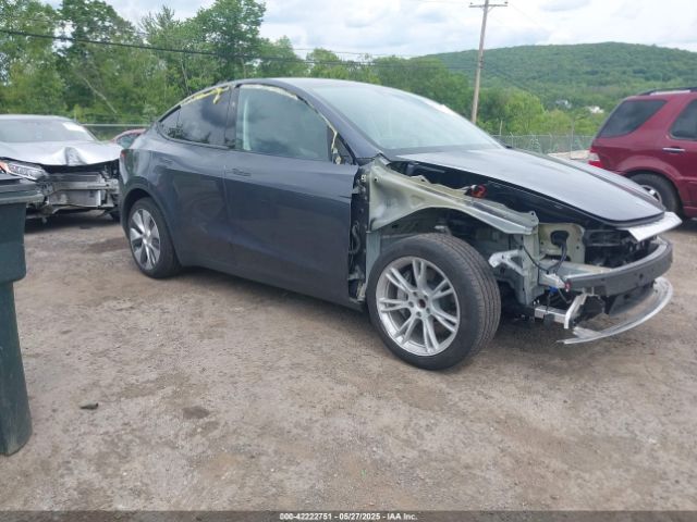 2023 TESLA MODEL Y 7SAYGDED2PF935181
