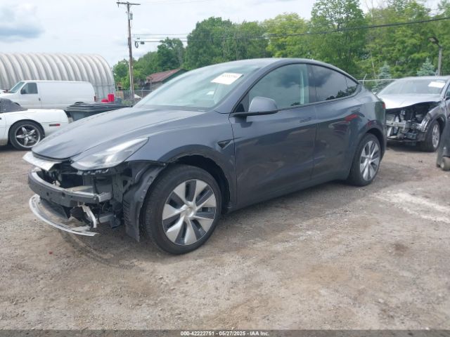 2023 TESLA MODEL Y 7SAYGDED2PF935181 Photo 1