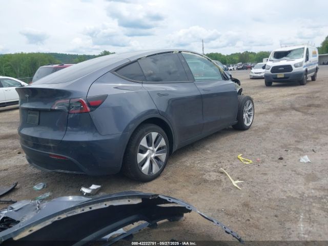 2023 TESLA MODEL Y 7SAYGDED2PF935181 Photo 3