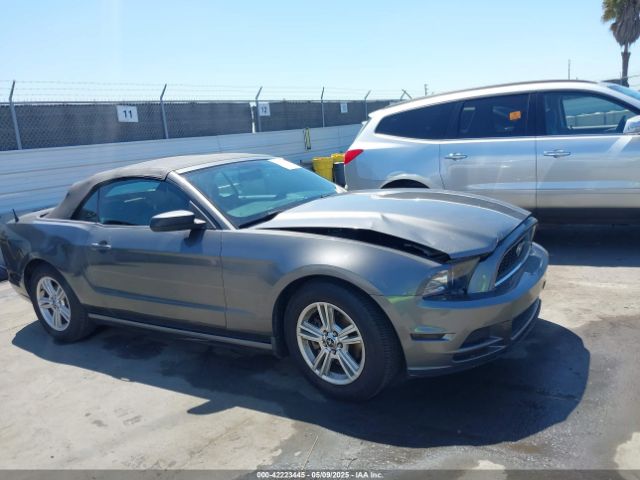 1ZVBP8EM9E5328667 Ford Mustang V6