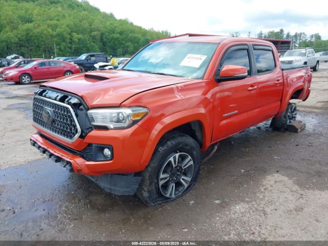 3TMCZ5AN4JM169995 Toyota Tacoma Trd Sport