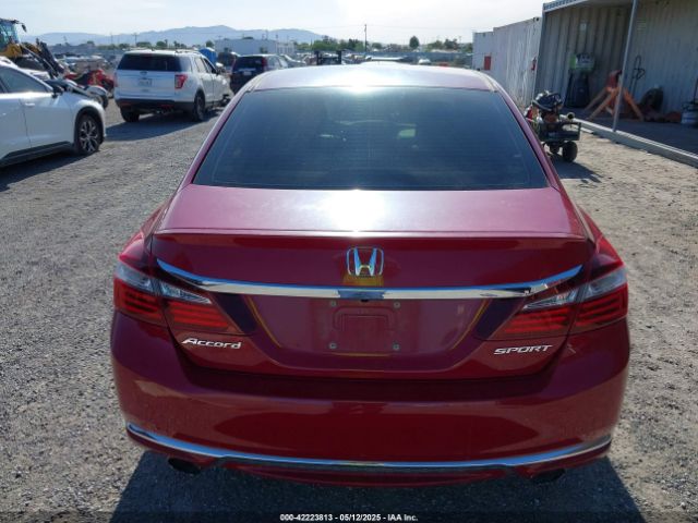 1HGCR2F51HA067084 Honda Accord Sport