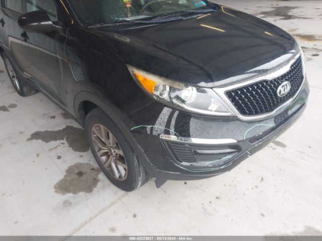 KNDPB3AC8G7861074 KIA Sportage Lx