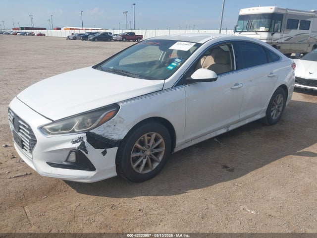 5NPE24AFXJH691410 Hyundai SONATA SE