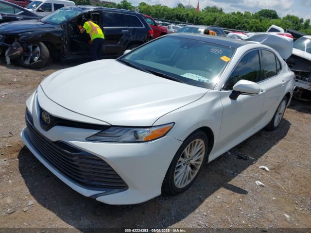 4T1B11HK2KU724975 Toyota CAMRY XLE