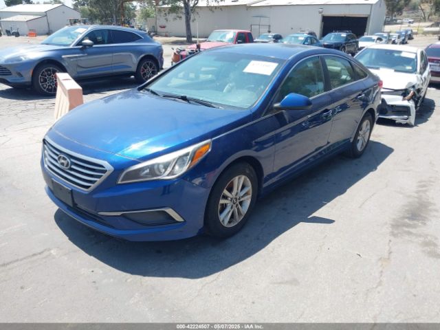 5NPE24AF1GH343939 Hyundai SONATA SE
