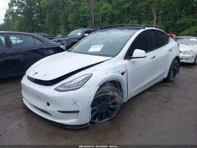 5YJYGDEE7MF108245 Tesla 2021