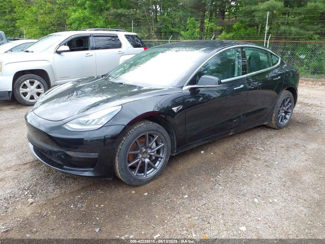 5YJ3E1EA5LF606342 Tesla Model 3 Standard Range Plus Rear-wheel Drive/standard Range Rear-wheel Drive