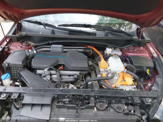 KNDPYDAH1P7059627 KIA Sportage Plug-in Hybrid X-line