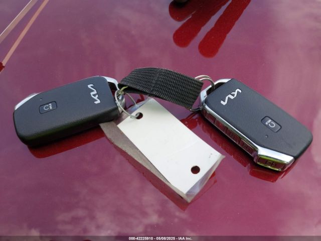KNDPYDAH1P7059627 KIA Sportage Plug-in Hybrid X-line