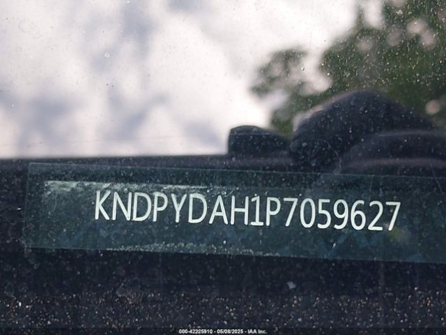KNDPYDAH1P7059627 KIA Sportage Plug-in Hybrid X-line