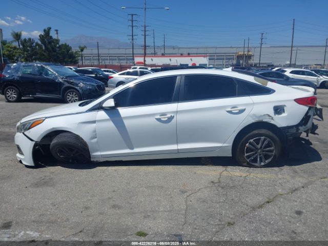 5NPE24AFXHH574114 Hyundai SONATA SE